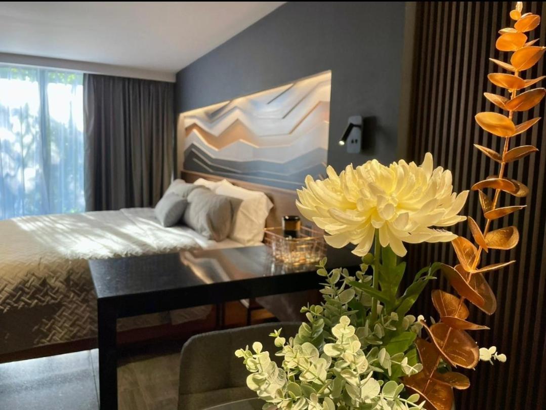 Suites Mine Mexico City Luaran gambar